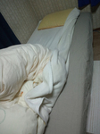 2010-9-25pic.JPG
